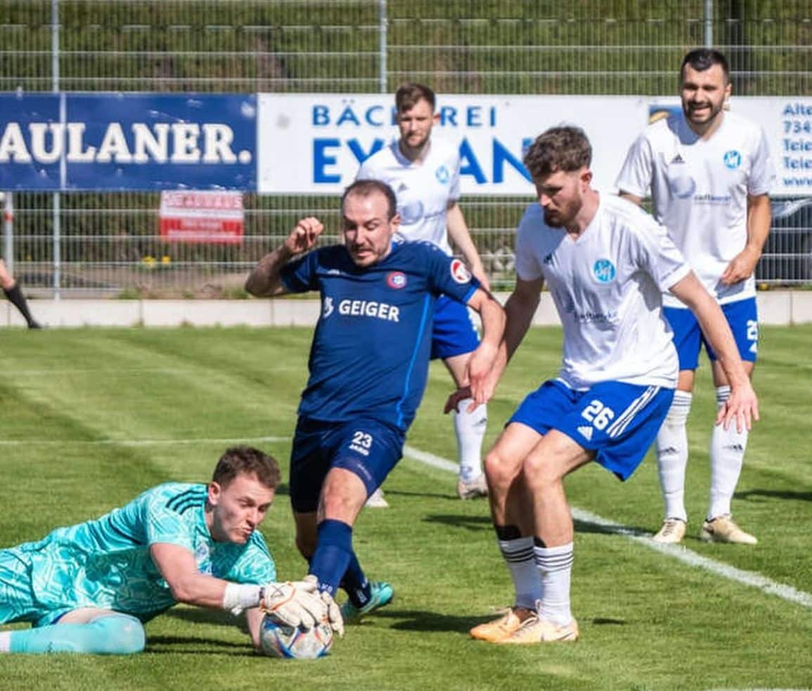 TSG 1899 Hoffenheim sinsheim, Germany