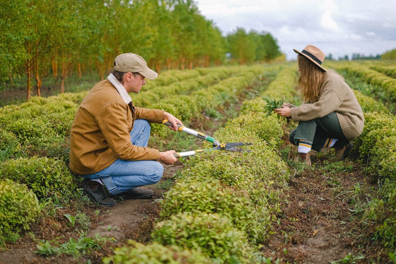 Agriculture jobs in Germany